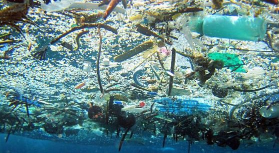 An array of plastic in the ocean - seen from underneath